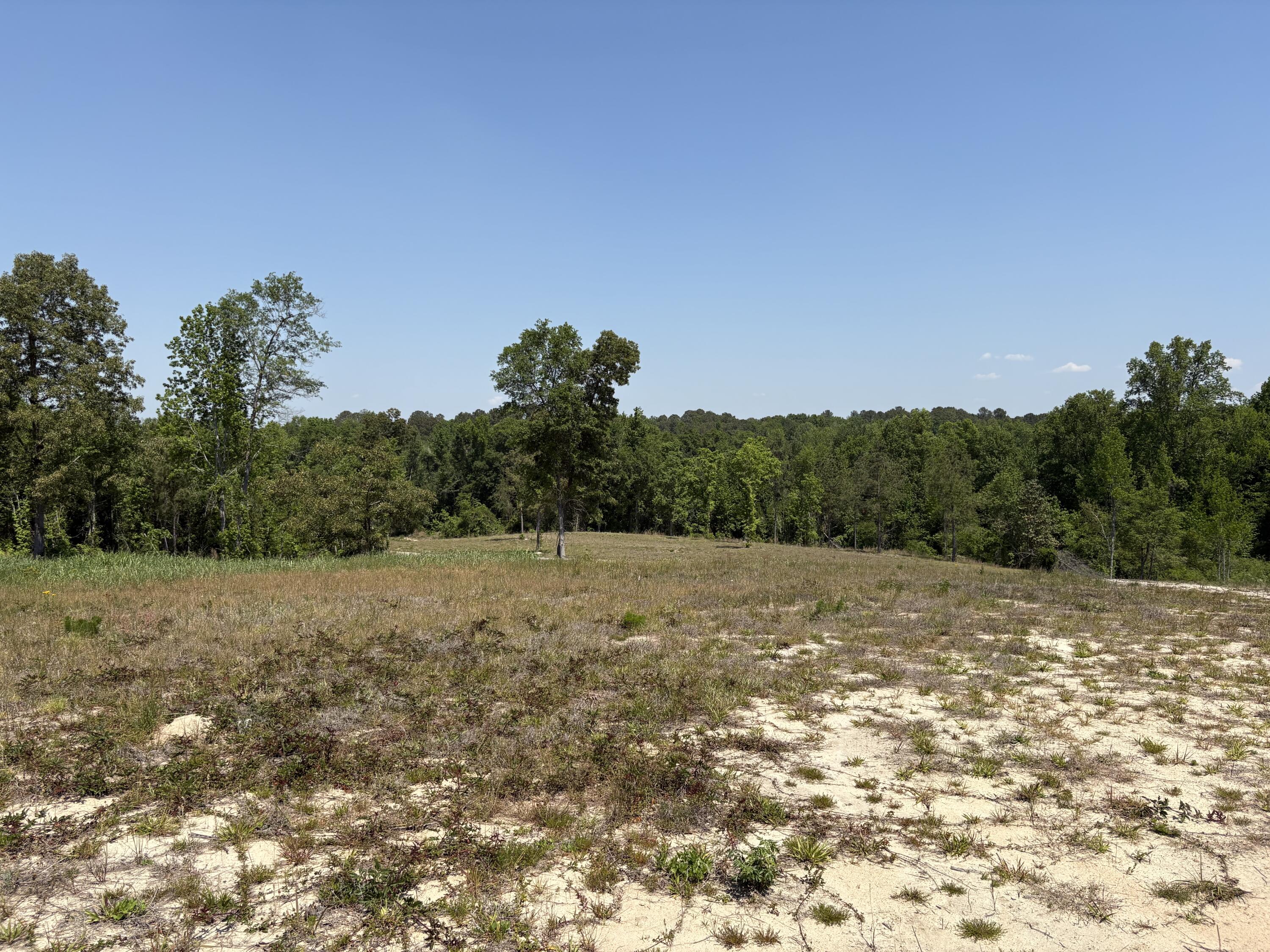0 CCC Road, Unit 250801001 Beech Island, SC 29842 - Photo 6 of 11 IMG_6751