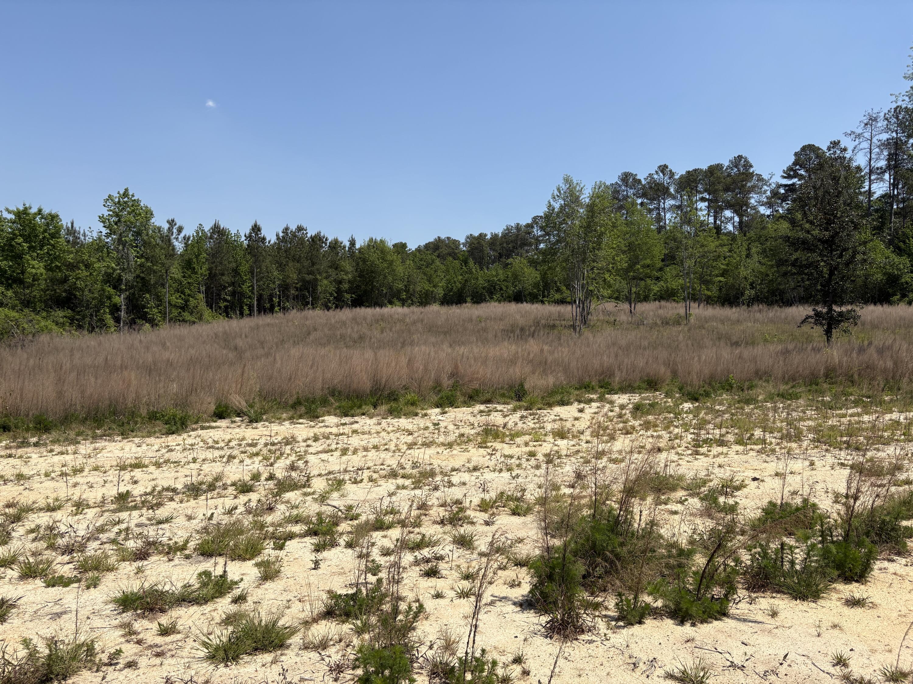 0 CCC Road, Unit 250801001 Beech Island, SC 29842 - Photo 8 of 11 IMG_6763