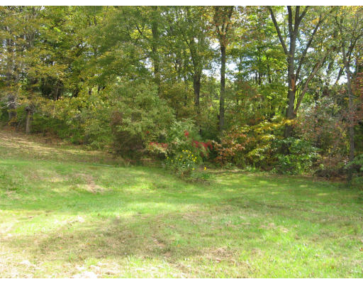157 Palmer Road Monson, MA 01057 - Photo 6 of 14