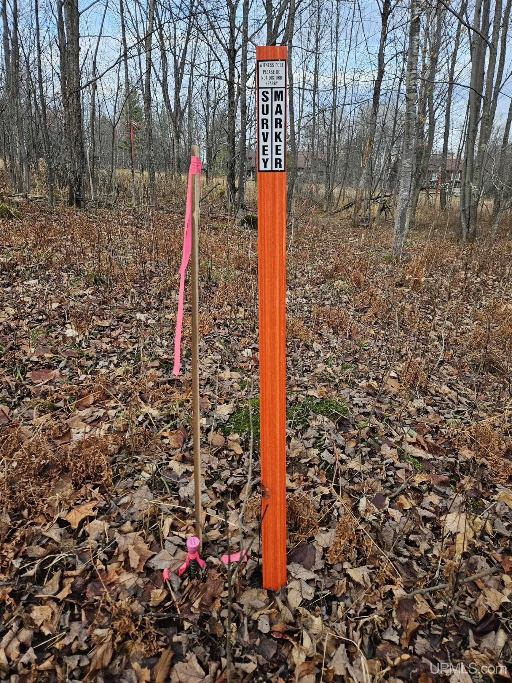 Tbd Tbd Road Bessemer, MI 49911 - Photo 13 of 13