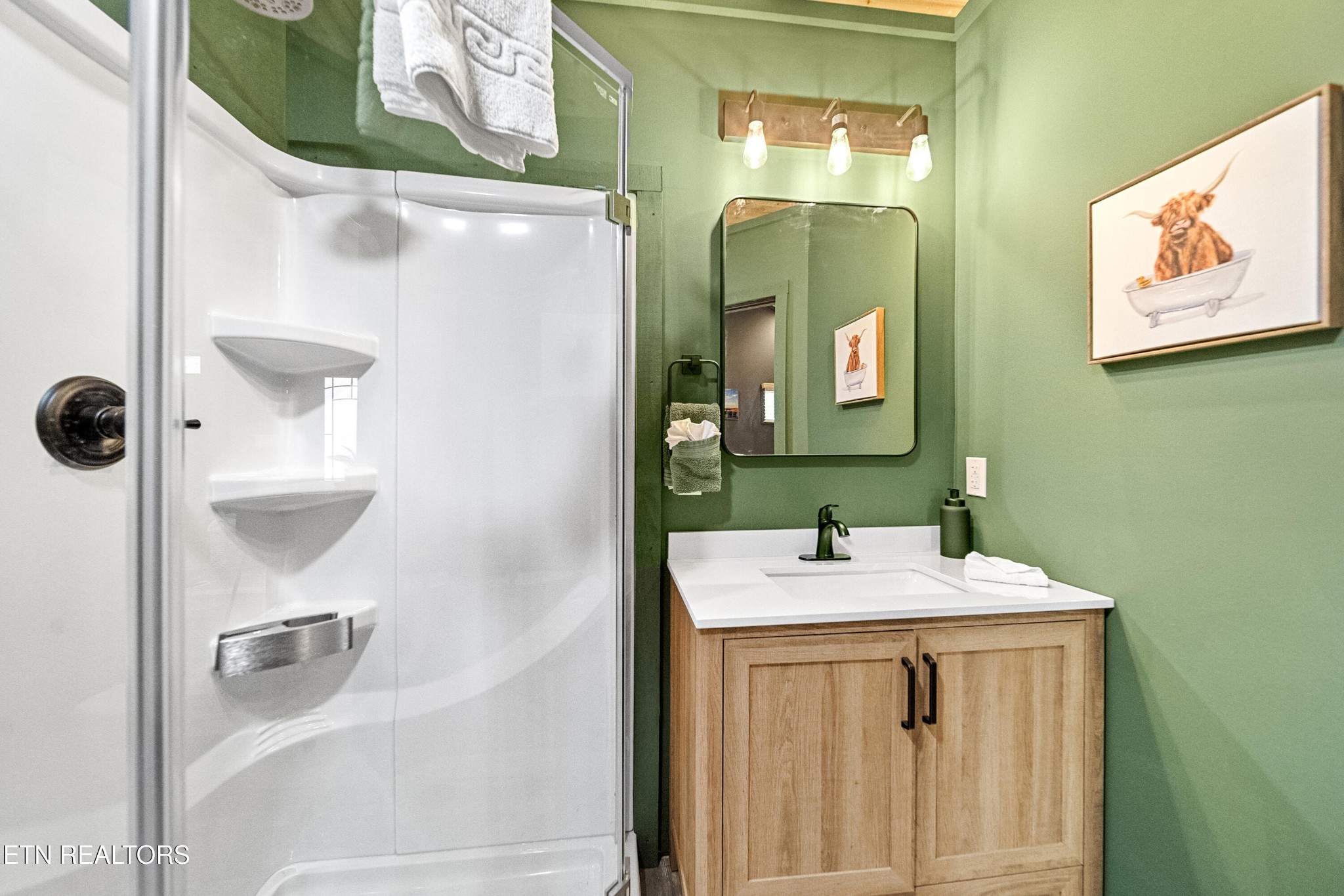 1079 Shell Mountain Road Sevierville, TN 37876 - Photo 14 of 29 a bathroom with a sink mirror and vanity