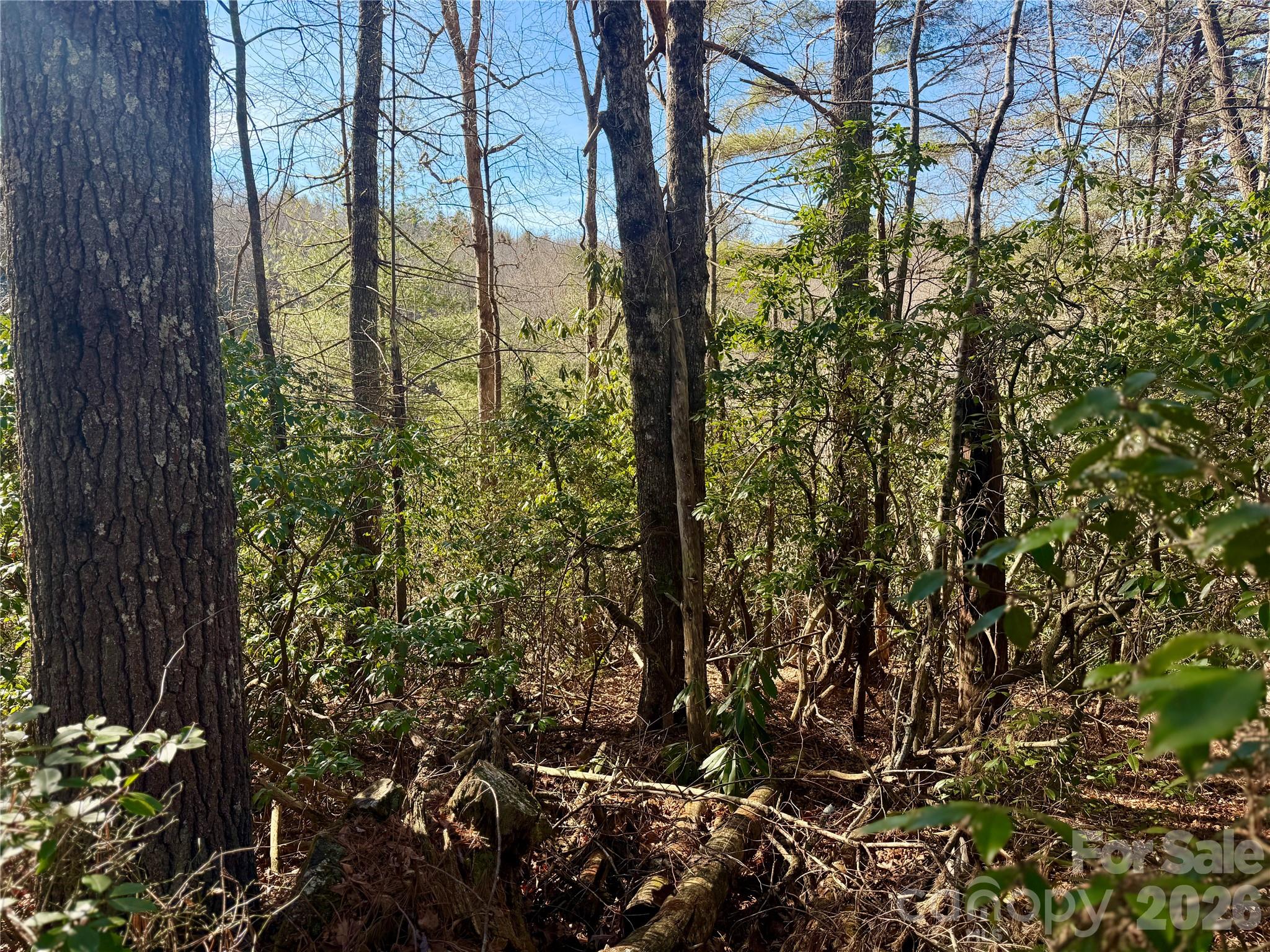 35-36 & 37 Fox Den Road, Unit 35 36 37 Brevard, NC 28712 - Photo 11 of 20 a view of lake