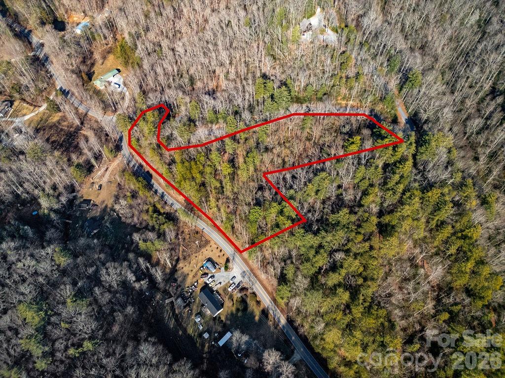 35-36 & 37 Fox Den Road, Unit 35 36 37 Brevard, NC 28712 - Photo 15 of 20 a picture of flowers