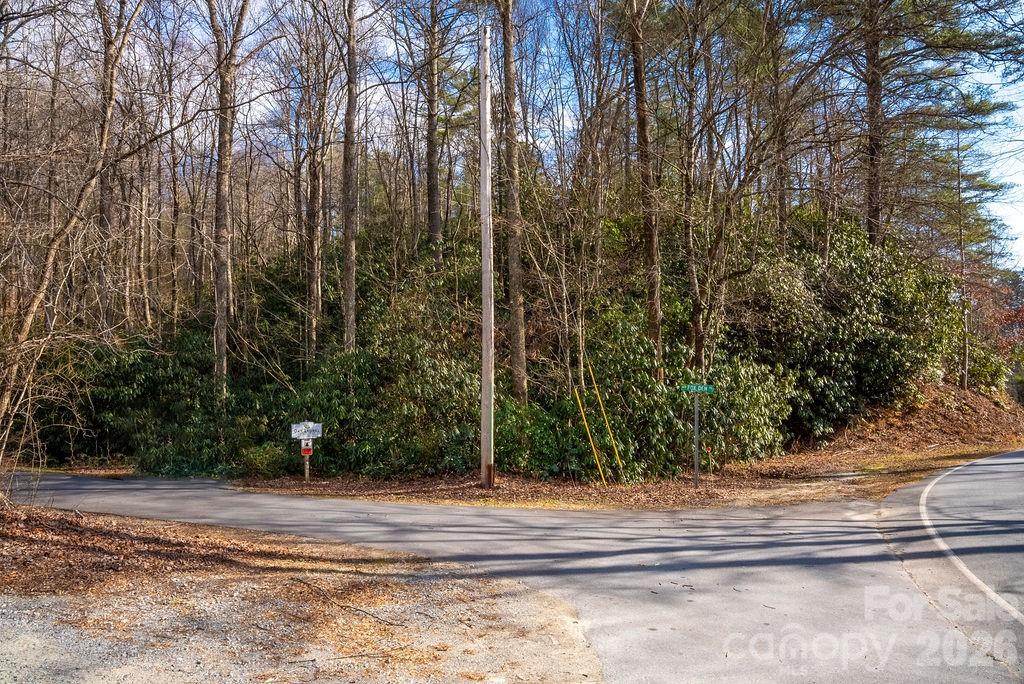 35-36 & 37 Fox Den Road, Unit 35 36 37 Brevard, NC 28712 - Photo 16 of 20 a view of a yard with large trees