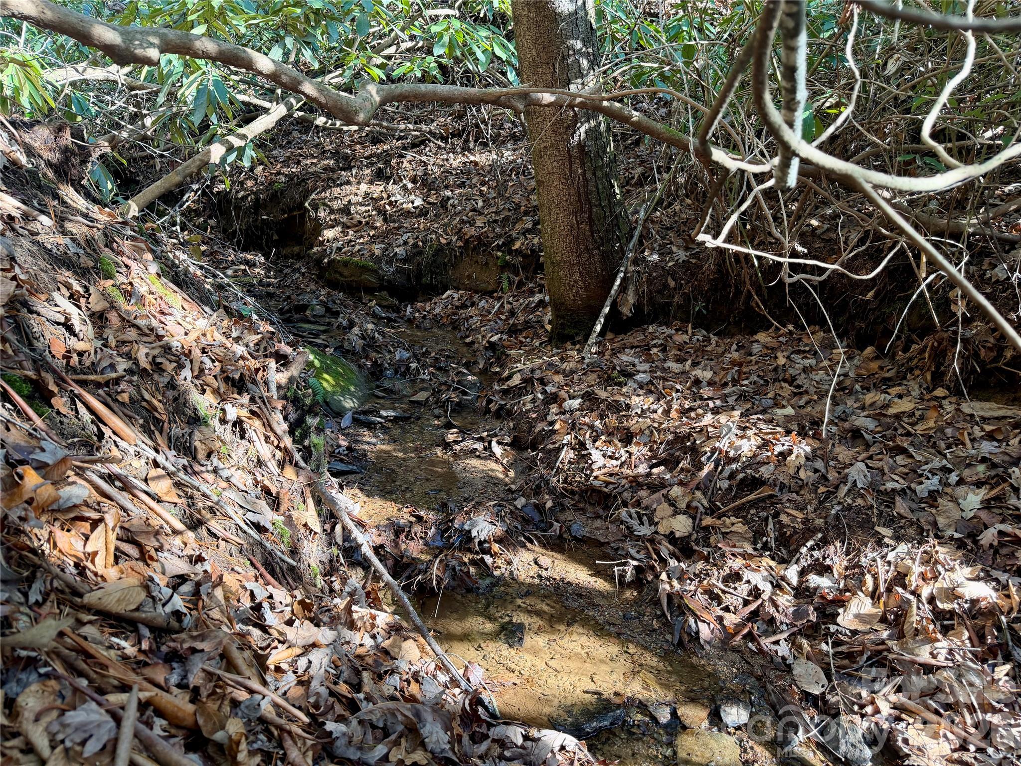 35-36 & 37 Fox Den Road, Unit 35 36 37 Brevard, NC 28712 - Photo 18 of 20 a view of a tree