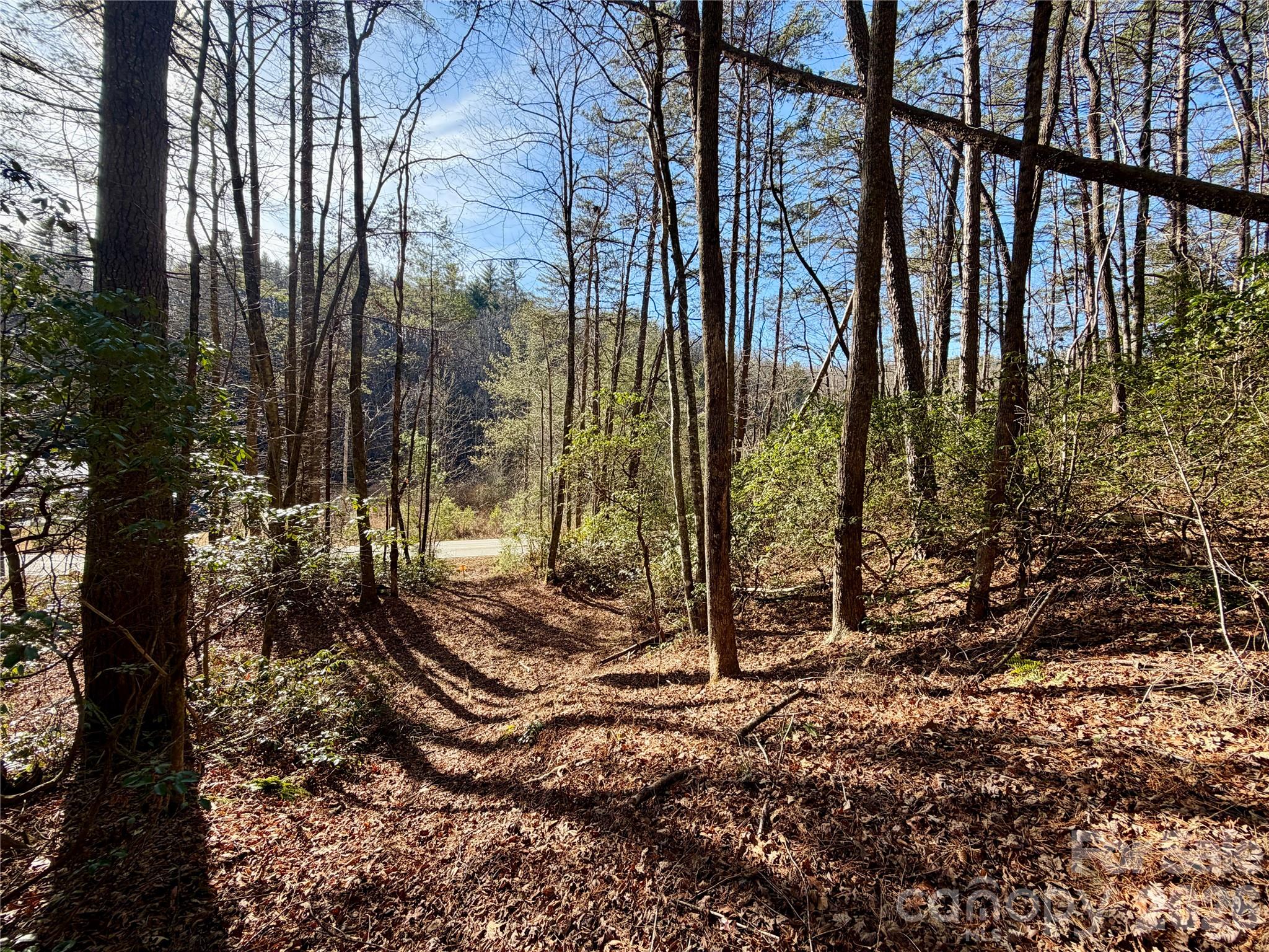 35-36 & 37 Fox Den Road, Unit 35 36 37 Brevard, NC 28712 - Photo 3 of 20 a view of a backyard of the house