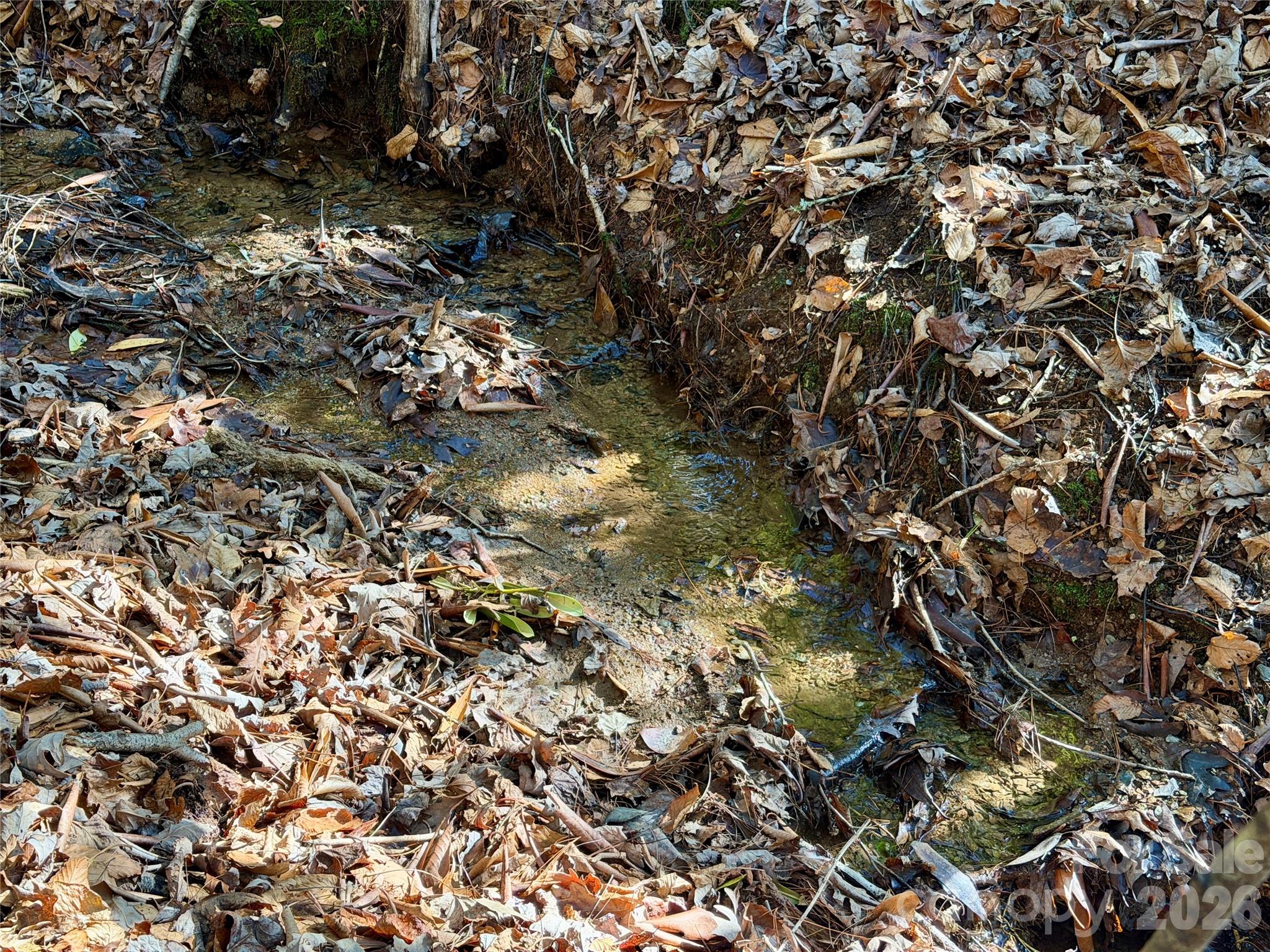 35-36 & 37 Fox Den Road, Unit 35 36 37 Brevard, NC 28712 - Photo 6 of 20 a view of a tree