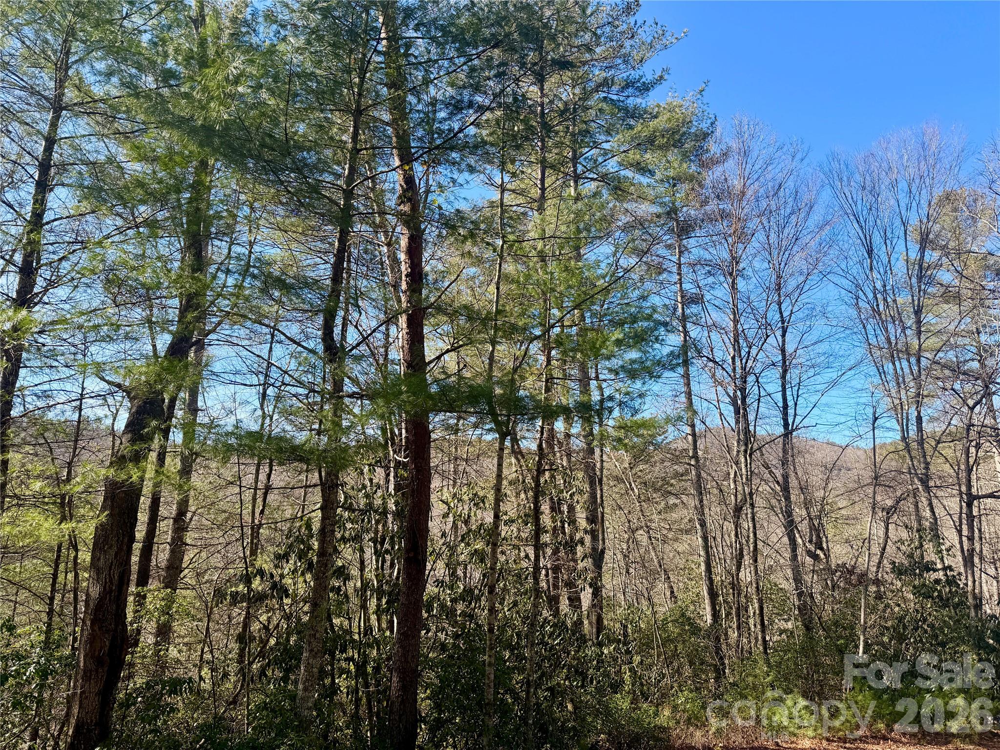 35-36 & 37 Fox Den Road, Unit 35 36 37 Brevard, NC 28712 - Photo 10 of 20