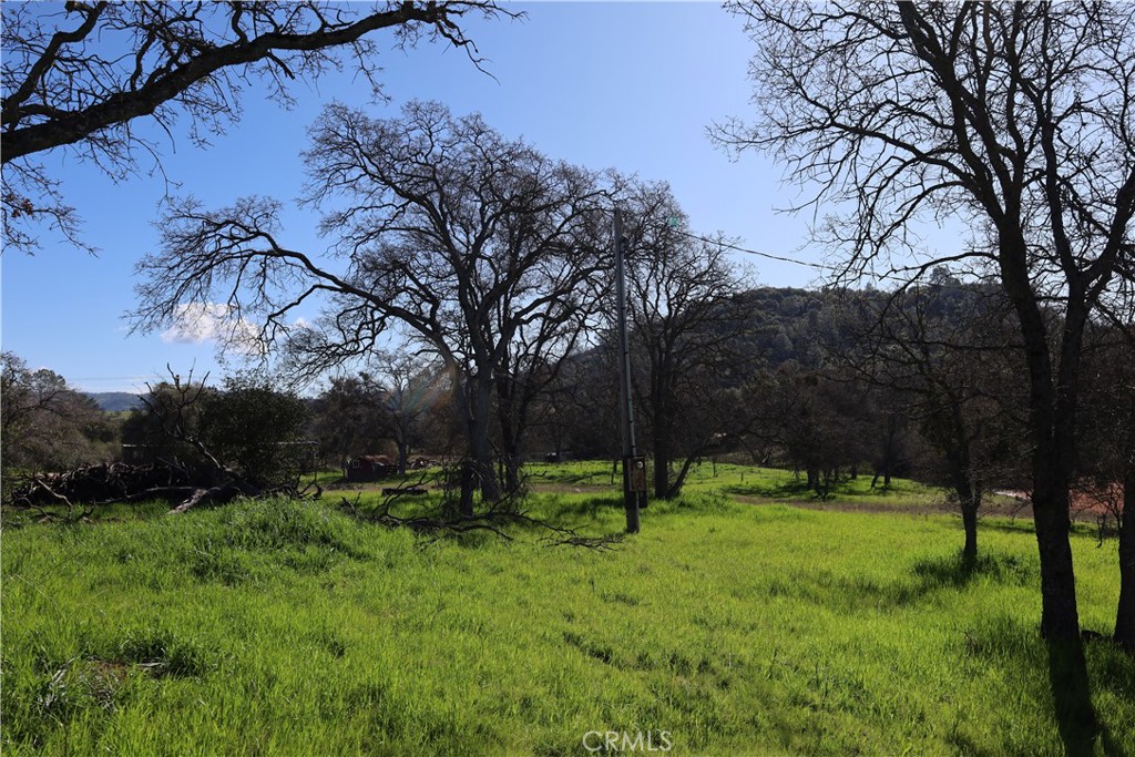 0 Douglas Road Coarsegold, CA 93614 - Photo 11 of 19