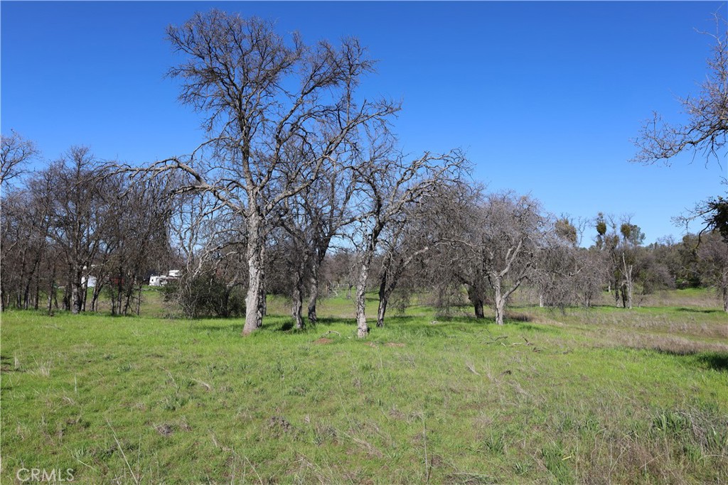 0 Douglas Road Coarsegold, CA 93614 - Photo 13 of 19