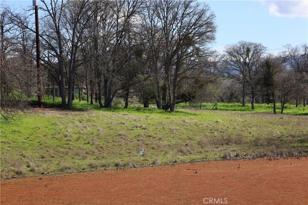 0 Douglas Road Coarsegold, CA 93614 - Photo 14 of 19