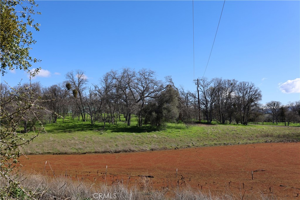 0 Douglas Road Coarsegold, CA 93614 - Photo 16 of 19