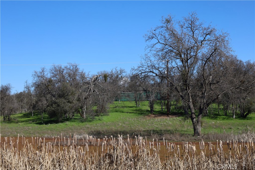 0 Douglas Road Coarsegold, CA 93614 - Photo 18 of 19