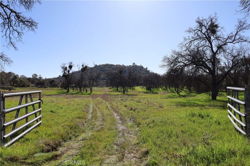 0 Douglas Road Coarsegold, CA 93614 - Photo 3 of 19