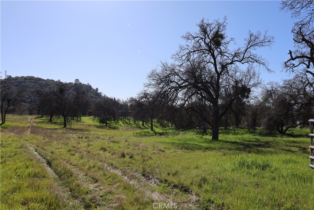 0 Douglas Road Coarsegold, CA 93614 - Photo 4 of 19