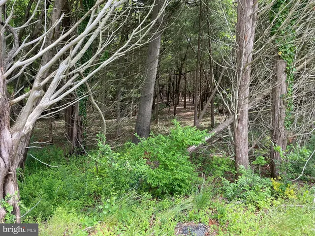 $399,000 | 0 East Main Street, Little Egg Harbor, NJ 08087