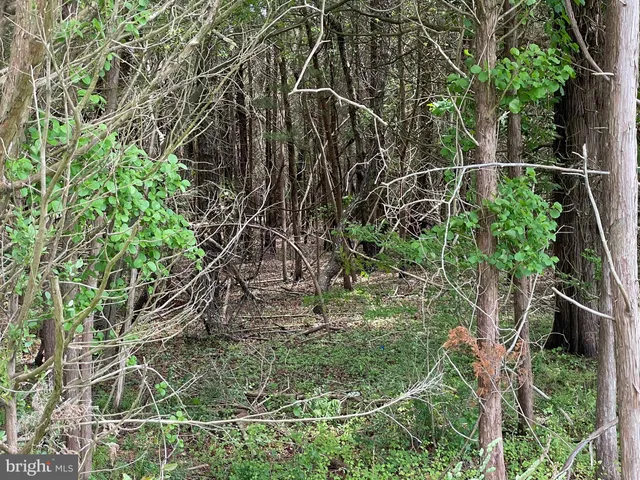 $399,000 | 0 East Main Street, Little Egg Harbor, NJ 08087