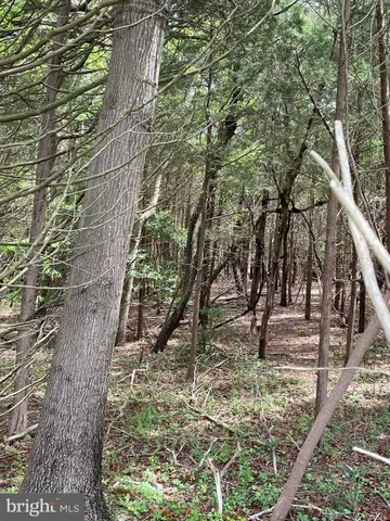 $399,000 | 0 East Main Street, Little Egg Harbor, NJ 08087