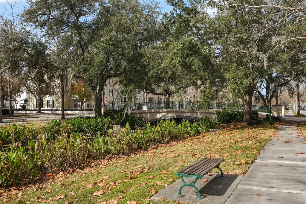 600 Market Street, Unit 340 Celebration, FL 34747 - Photo 35 of 35 a view of a yard with plants and trees