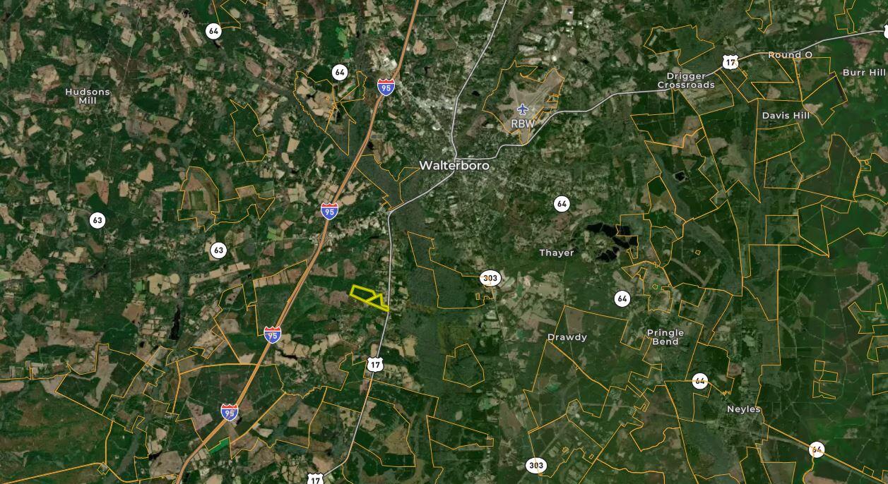 0 Peniel Road Walterboro, SC 29488 - Photo 4 of 15 111 Acres Far