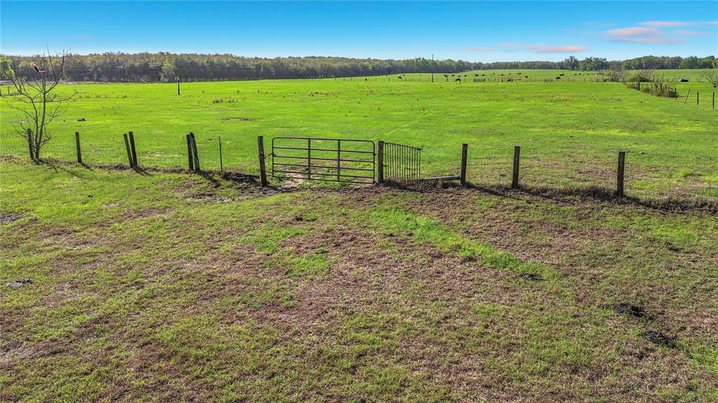 855 Northeast 107th Road Oxford, FL 34484 - Photo 42 of 59