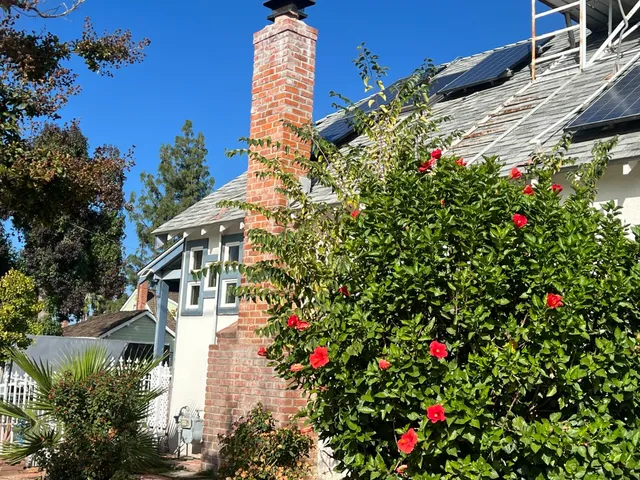 a picture of flowers