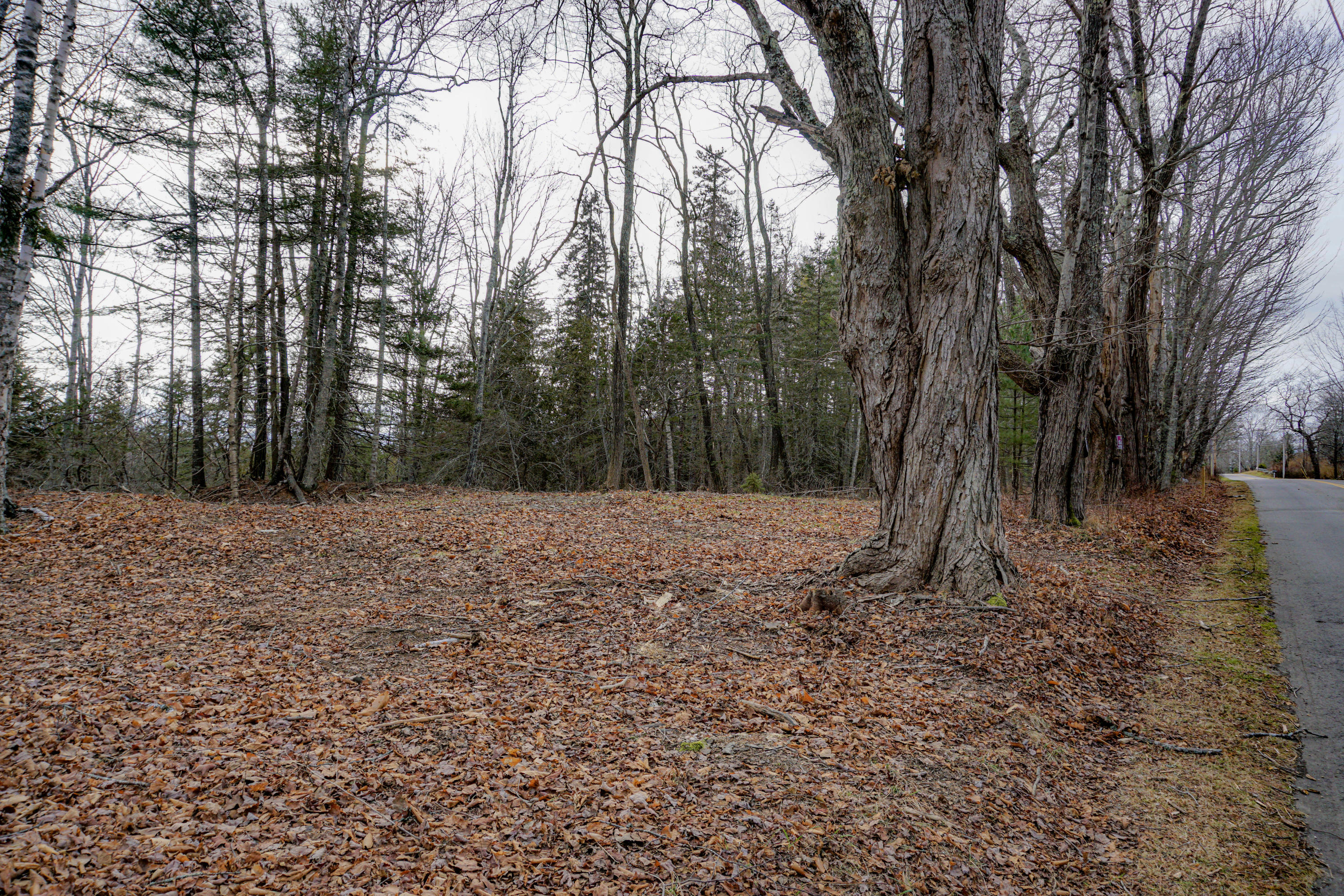 0 Main Road Islesboro, ME 04848 - Photo 5 of 44 39-_DSC1710
