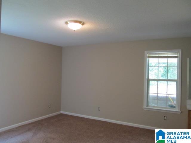 55 Honeysuckle Road Locust Fork, AL 35097 - Photo 12 of 25
