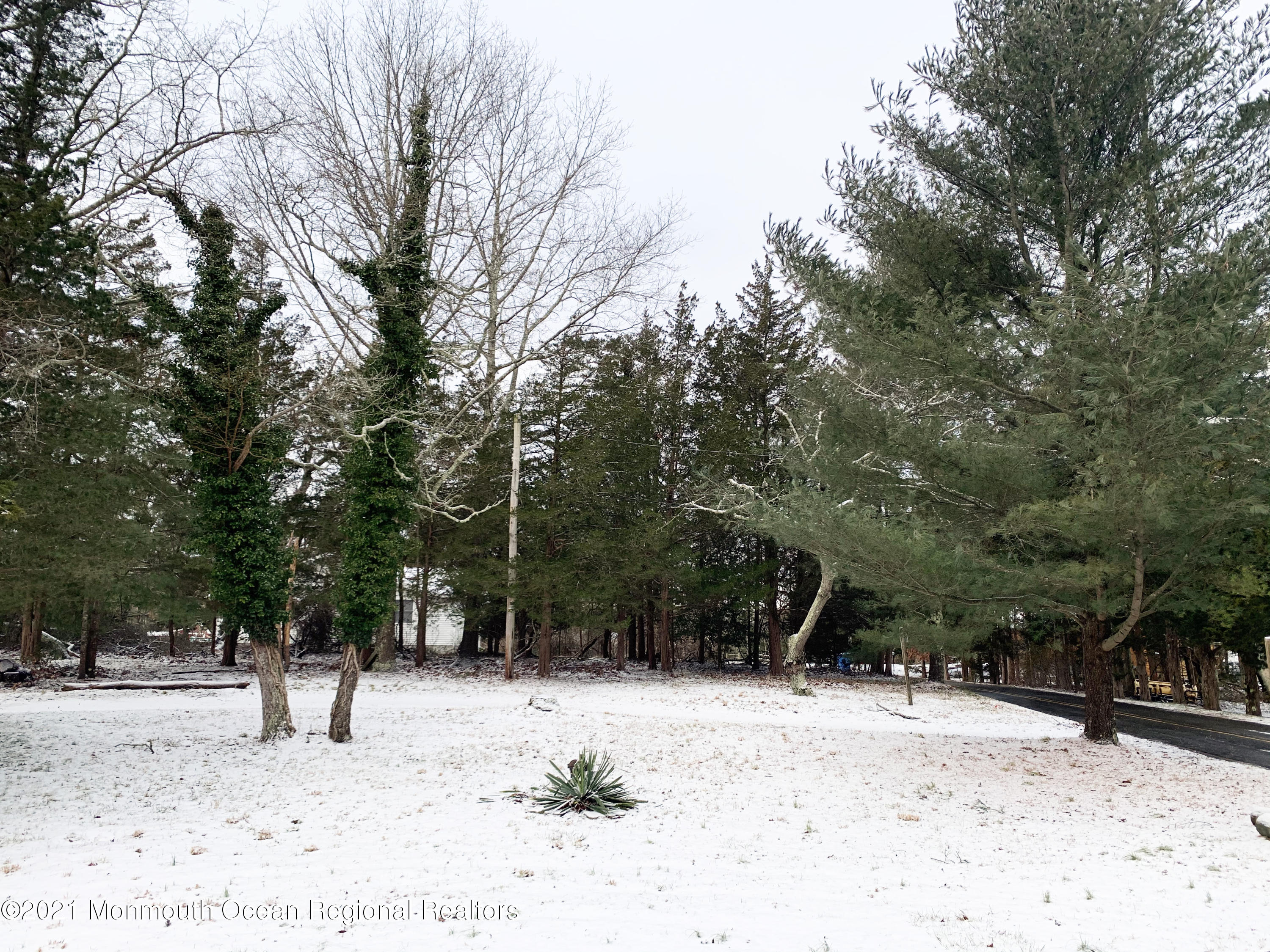 88 W Road Tuckerton, NJ 08087 - Photo 4 of 25 a view of a yard covered in snow