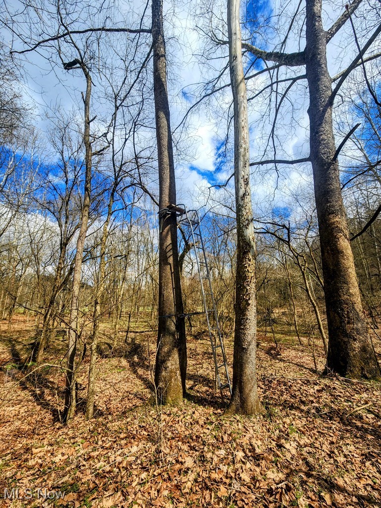 Kings Creek Road New Cumberland, WV 26047 - Photo 8 of 18
