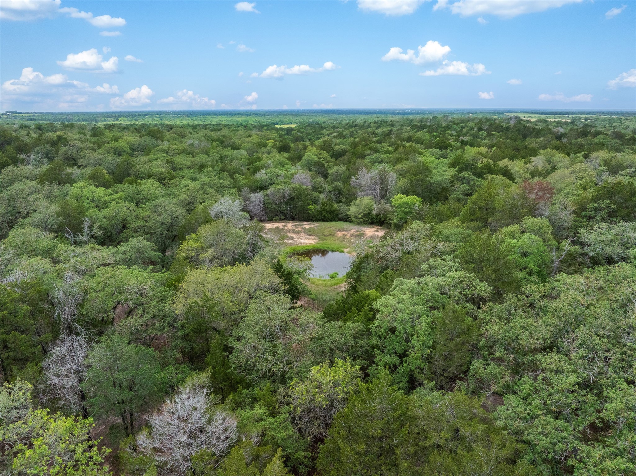 622 Red Rock Ranch Road Red Rock, TX 78662 - Photo 35 of 46 a view of a large yard with lots of green space
