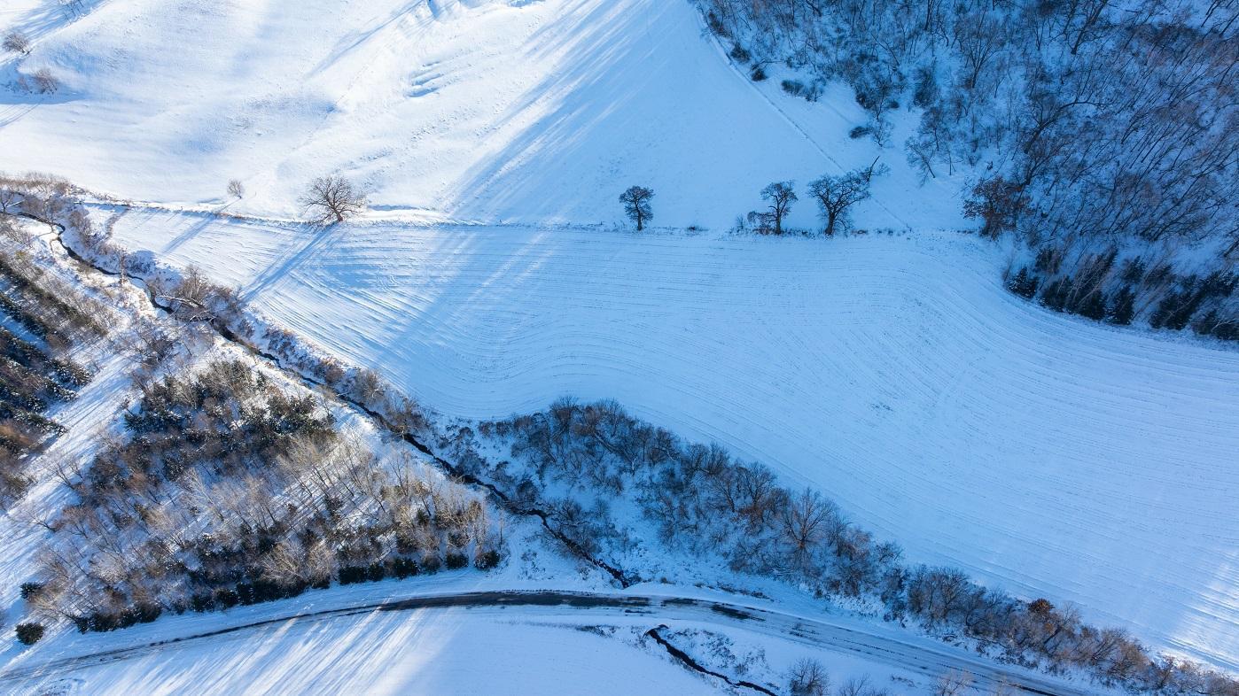 0 Lyga Valley Road Arcadia, WI 54612 - Photo 3 of 13