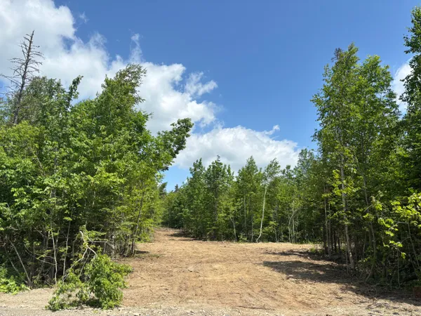 $39,900 | Lot A Mcdonald Road, Houlton, ME 04730