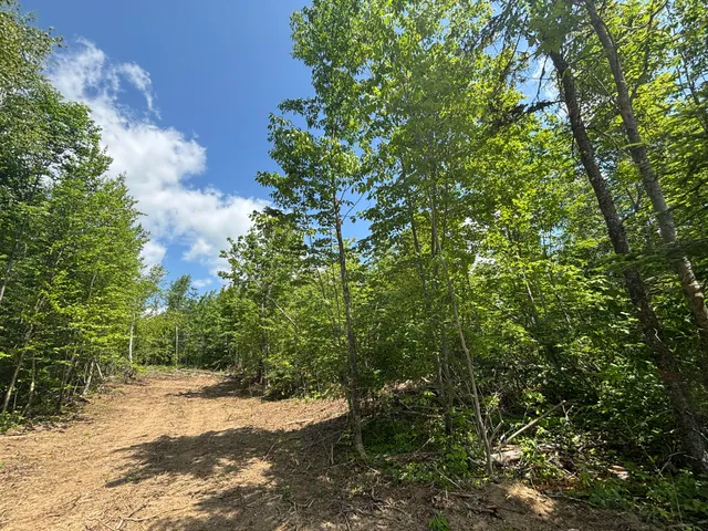 $39,900 | Lot A Mcdonald Road, Houlton, ME 04730