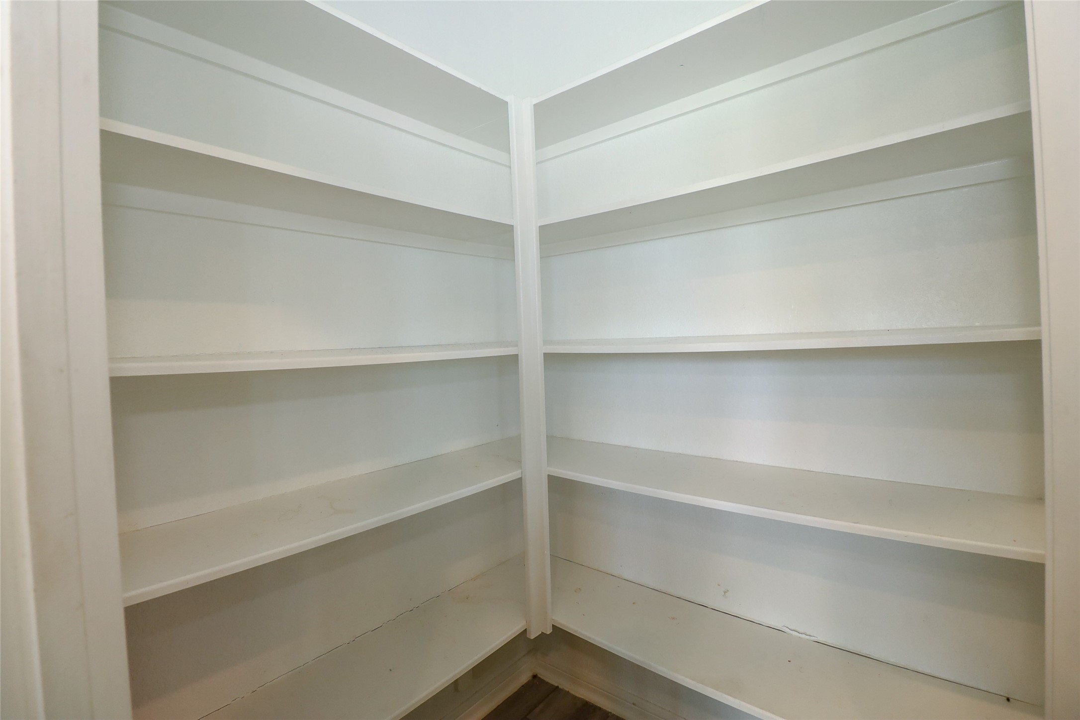1418 Red Hills Drive Rosharon, TX 77583 - Photo 15 of 36 a view of walk in closet with empty racks