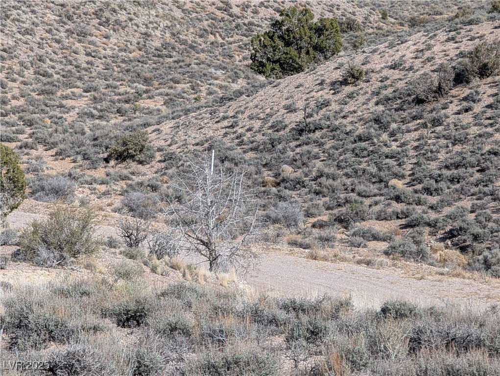 1 Keele Road Caliente, NV 89008 - Photo 14 of 24