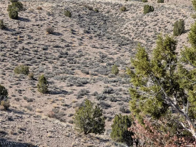 $59,900 | 1 Keele Road, Caliente, NV 89008