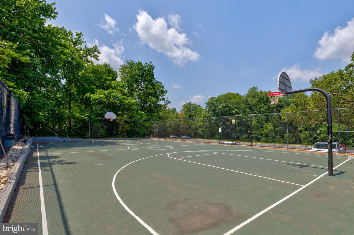 46134 Brisbane Square Sterling, VA 20165 - Photo 46 of 48 a view of a tennis court