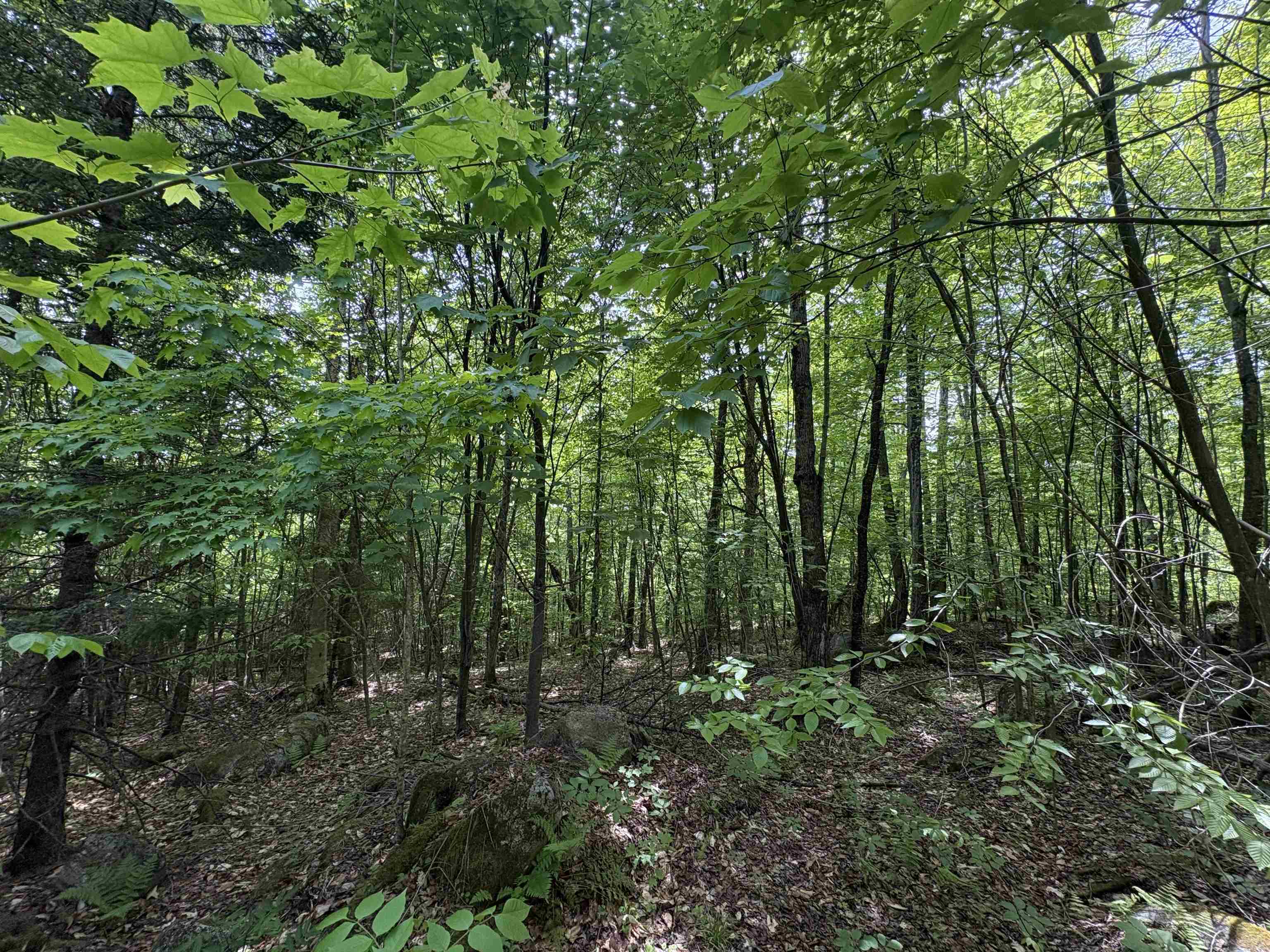 0 Old Pond Hill Road Lunenburg, VT 05906 - Photo 14 of 60 Gallery Image 14