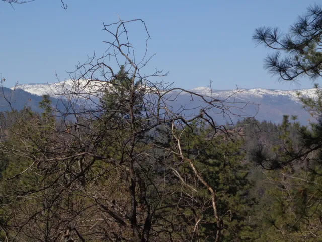 a view of outdoor space with trees