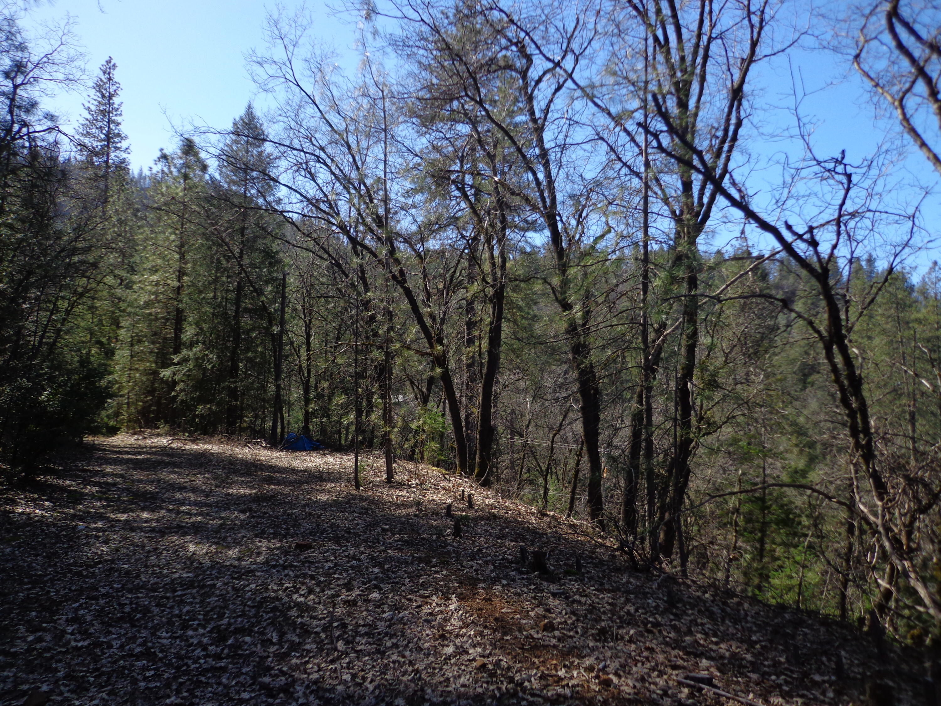 Fawn Road Lakehead, CA 96051 - Photo 16 of 16 a view of outdoor space with trees