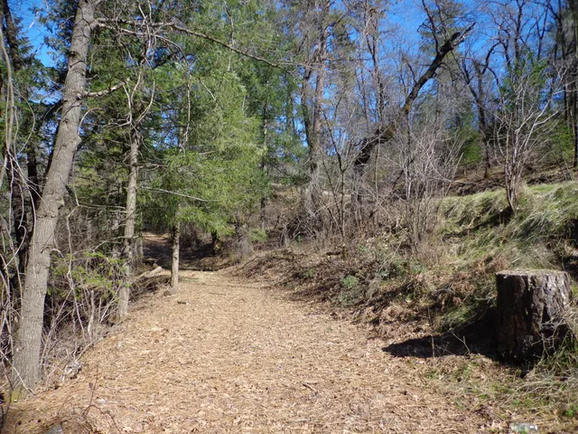 a view of outdoor space and covered with trees