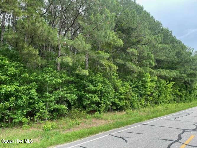 Tbd Point Caswell Road Watha, NC 28478 - Photo 4 of 5