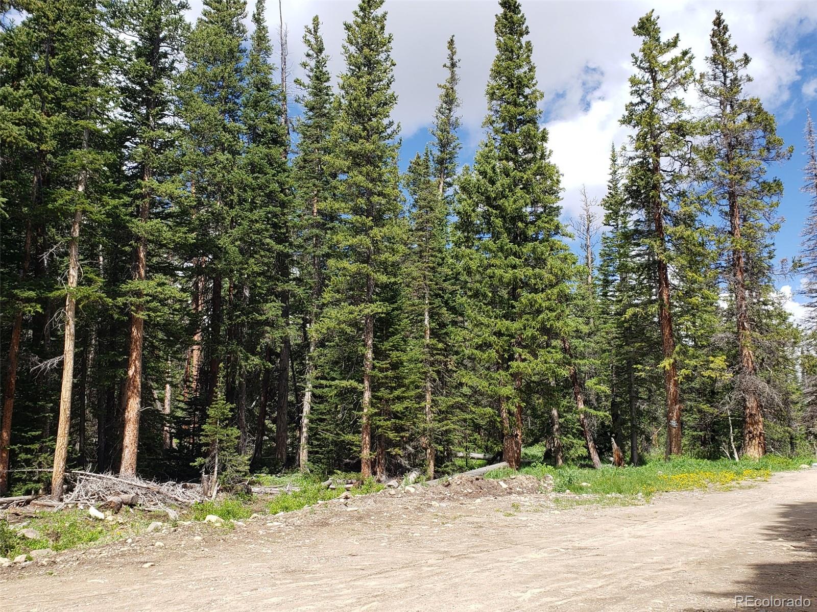 585 Porcupine Road Fairplay, CO 80440 - Photo 3 of 12