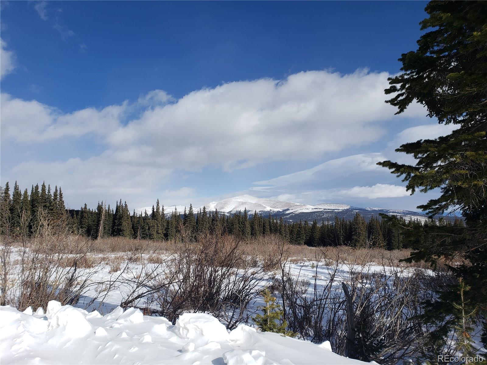 585 Porcupine Road Fairplay, CO 80440 - Photo 8 of 12