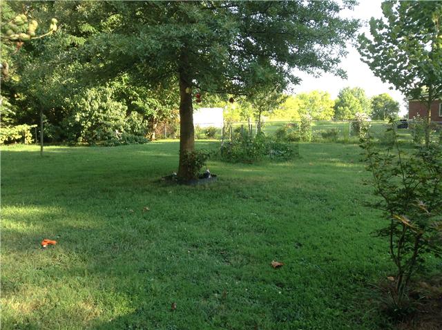 320 Jackson Road Portland, TN 37148 - Photo 19 of 20 Another view of nice big back yard.
