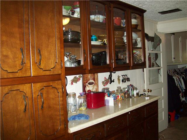 320 Jackson Road Portland, TN 37148 - Photo 5 of 20 Glass front cabinet with large pantry.