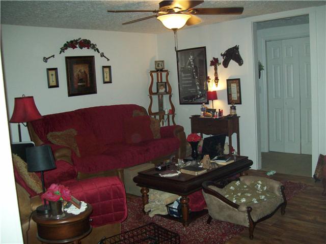 320 Jackson Road Portland, TN 37148 - Photo 10 of 20 Spacious Den for family time.