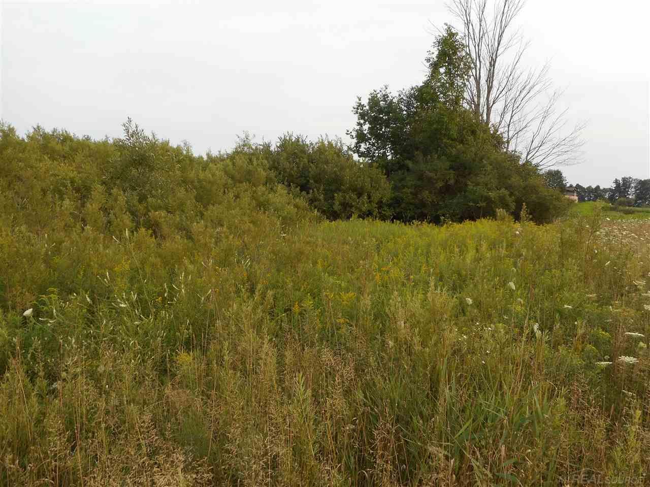 Vl Jordan Road Melvin, MI 48454 - Photo 14 of 22