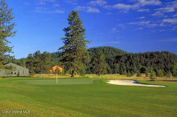 13 Bogie Lane Blanchard, ID 83804 - Photo 22 of 27 stoneridgegolf5